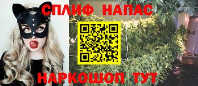 ECSTASY Бийск