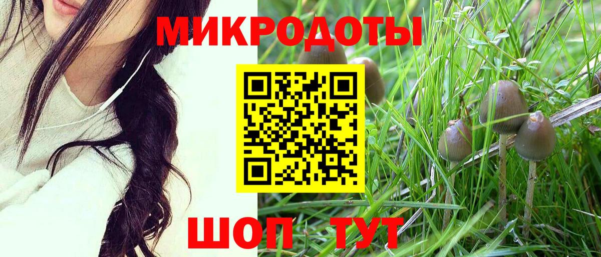 Псилоцибиновые грибы прущие грибы  Вход с VPN  Камышлов  Псилоцибиновые грибы мухоморы 