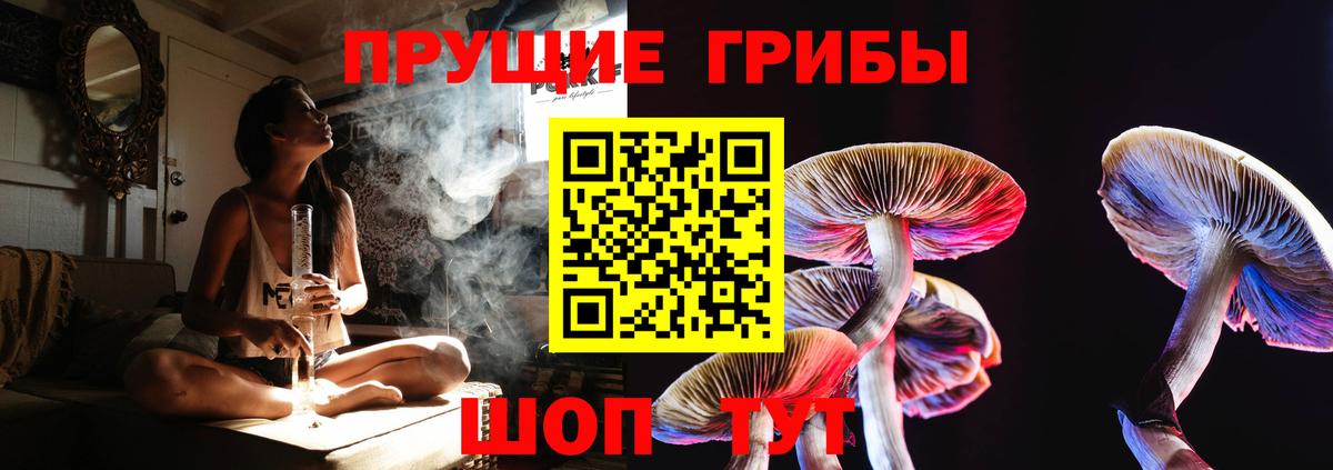 Псилоцибиновые грибы MAGIC MUSHROOMS Камышлов